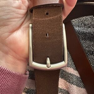 Remo Tulliani Brown Belt with Silvertone  Buckle